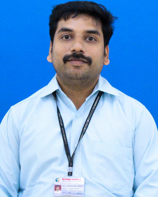 Dr. P. Anantha Christu Raj