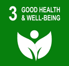 Good Health and Well-being (SDG 3)