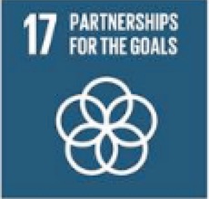 Partnership for the Goals (SDG 17)