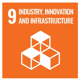 Partnership for the Goals (SDG 17)